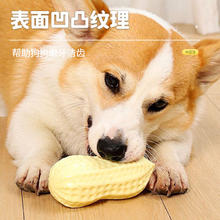 HOUYA 狗狗玩具 磨牙棒耐咬仿真解闷大小型犬柯基金毛花生发声狗玩具球