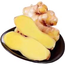 京喜加 高山小黄姜 1斤