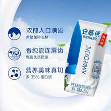 百亿补贴：安慕希 yili 伊利 安慕希原味酸奶 205g*10盒