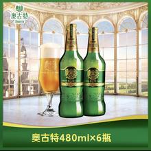 奥古特 1903 青岛啤酒6瓶整箱装