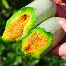 蔬农联 山东头茬羊角蜜瓜香瓜甜瓜当季新鲜水果生鲜 3斤装