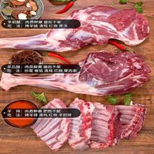 伊民康洋 宁夏滩羊肉 生鲜整半只羊 原切羊排羊腿羊蝎子烧烤火锅食材礼盒清 羊前腿切块4斤