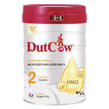 荷兰乳牛 [U]DutchCow荷兰乳牛进口HMO婴儿配方奶粉2段900g