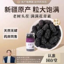 国存堂 新疆桑葚干 100g/罐