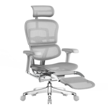 Ergonor保友金豪e 2代高端人体工学椅 电脑椅子 办公椅家用电竞椅老板椅 银白美国网+躺舒宝 整椅发货 送货上门