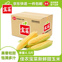 佳农 宝菜山东新鲜水果玉米 5-6根4.5斤装