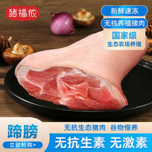 猪福侬 整只蹄膀 1kg