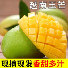 云南大玉芒青芒新鲜水果现摘应季孕妇水果现摘热带水果 5斤带箱（净重4.5斤） 单果280-350g