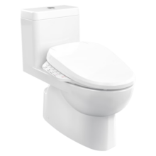 科勒（KOHLER） 瑞琦马桶五级旋风连体座便器坐便器智能马桶盖组合智能组合 马桶305坑距+8297智能板