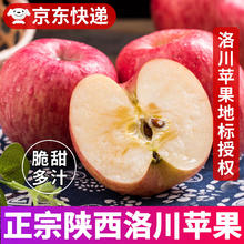云鲜风 陕西洛川红富士苹果 净重4.5斤果径80mm+ 新鲜水果 源头直发 净重4.5斤 大果
