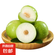 广西大青枣牛奶枣 带箱 2斤 单果60g起