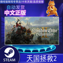 任天堂 Nintendo Steam 天国拯救2 标准版 简体中文 全球区