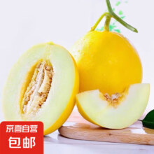 新鲜正宗冰糖牛奶现摘黄皮金香瓜 1.5-2斤