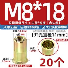 天卓五金 大沉头彩锌铆螺母 M8 20只