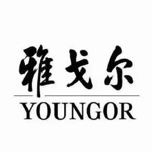 20点开始、促销活动：京东 YOUNGOR 雅戈尔 38节大放价全场低至两位数！