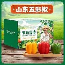百亿补贴：秋趣 国产三色彩椒甜椒灯笼椒礼盒装 3斤/5斤