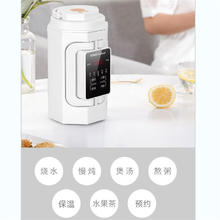 荣事达 便携式养生杯电炖杯多功能办公室迷你煮茶器煮粥神器烧水壶