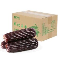 状禾 黑糯玉米棒 2.2斤 5根装