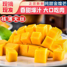 集年鲜 芒果 4.5斤