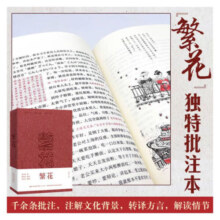 【当当 正版包邮】繁花 金宇澄作品集 第九届茅盾文学奖获奖作品 王家卫导演、胡歌主演同名剧集原著 繁华 小说 繁花 批注本