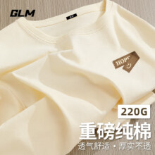 GLM 220g重磅100%纯棉男士T恤 *2件