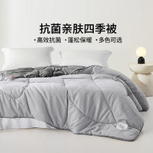 LOVO 抗菌四季被 220*240cm 灰色