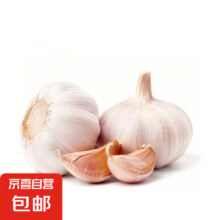 京喜加 大蒜头 紫白皮蒜 精品大蒜 调味料蒜瓣 2斤 单果3.5-5cm