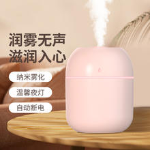 台纪 加湿器小型usb便携式2023新款办公室桌面家用卧室学生宿舍静音迷你简易空气孕妇婴儿车载香薰精油喷雾