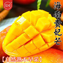 百亿补贴：枝纯 海南贵妃芒果当季大果4.5斤 彩箱