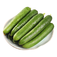 plus会员:佳农宝菜山东荷兰水果黄瓜 净重5斤 新鲜蔬菜 小青瓜单果80g+源头直发