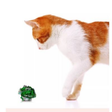 猫玩具 响纸球 耐咬磨牙消耗体力 宠物玩具-混色-1个