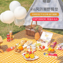 灵雁 户外便携可折叠爬行垫野餐垫 200*200cm