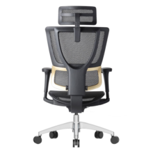 Ergonor保友优b2代 人体工学椅电脑椅办公椅护腰电竞椅 黑色网
