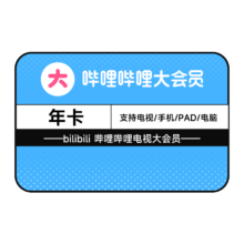bilibili 哔哩哔哩电视大会员12个月 四端通用