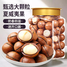 昊然天晟 中国大陆 大颗粒夏威夷果 500g