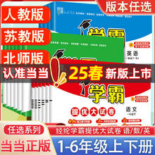 当当2024秋学霸提优大试卷语文