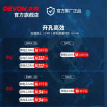 大有（Devon） 锂电无刷电锤DRH-20多功能轻型冲击电锤电镐混凝土打孔五金安装 2.5Ah单电标充（40W）
