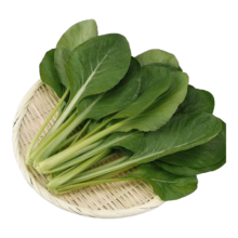 小菘菜种子 5包约5000粒