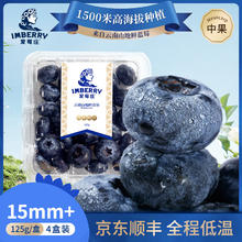 爱莓庄 当季云南蓝莓 中果125g*5盒（果径15-18mm)