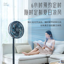 国家补贴：美的 电风扇 家用立式七叶摇头落地扇遥控定时大风力电扇宿舍卧室轻音节能桌面小风扇 SAH30ADR