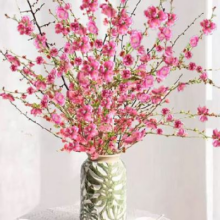 景郁春 JIRYUCUR 带花苞鲜花卉 30枝鲜桃花枝50cm