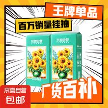京喜 向日葵油画系列 悬挂式抽纸 4层250抽2提