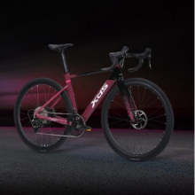 20点开始：plus会员：xds 喜德盛 公路自行车AD350桶轴轮组UCI内走线气动车架油碟 2025-鸽子灰 480mm