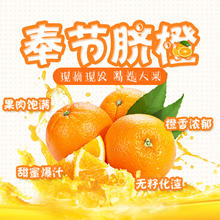 奉节脐橙 fjqch 重庆奉节脐橙现摘新鲜橙子果园源头直发 净重9斤-单果70-80mm