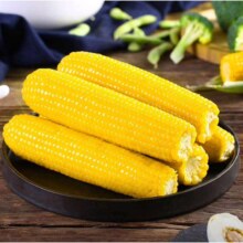 再降价：东北黄糯玉米 大棒 220g*8 *2件