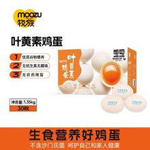 叶黄素可生食鲜鸡蛋无抗生素NSF产品认证 30枚