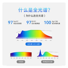 易来 Yeelight 全光谱筒灯家用嵌入式护眼LED灯客筒灯-全光谱护眼