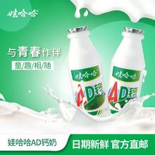 1-2月产娃哈哈AD钙奶220g*20瓶童年风味饮品（拆箱发货，非原箱）