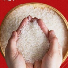 丝苗米500g*1袋 买一送一到手2件