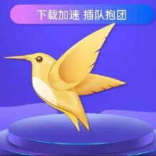 迅雷 白金会员12个月 迅雷白金会员年卡